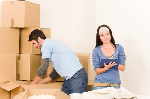 Professional movers carrying boxes for a Croydon home move